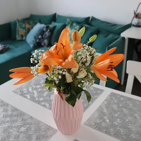 Apartamento Cosy 10min From Centre - Sea Views